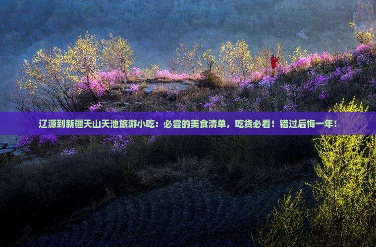 辽源到新疆天山天池旅游小吃