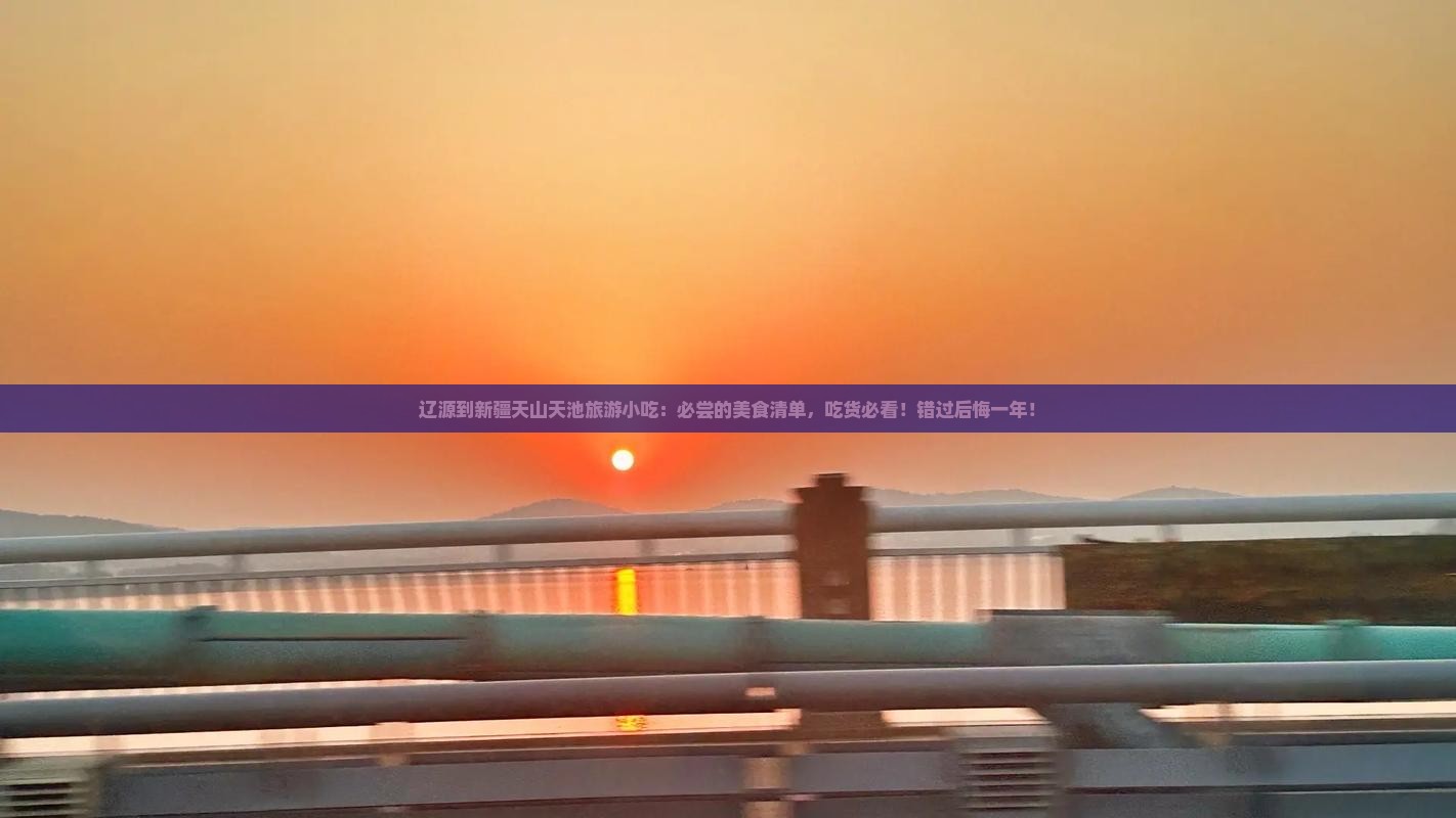 辽源到新疆天山天池旅游小吃