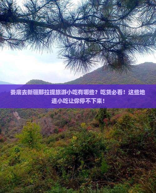 娄底去新疆那拉提旅游小吃
