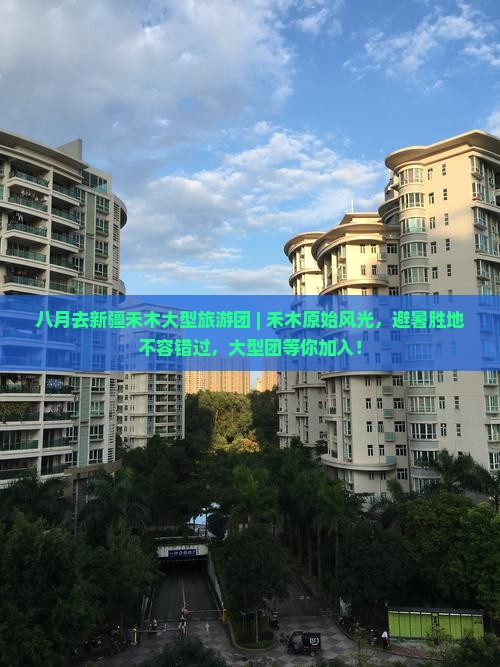 八月去新疆禾木大型旅游团