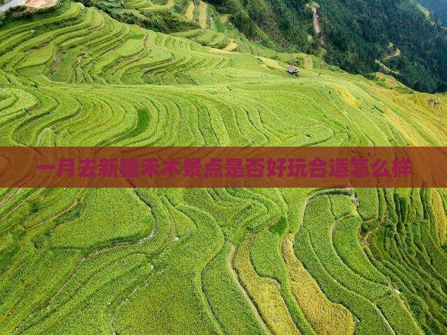 一月去新疆禾木景点