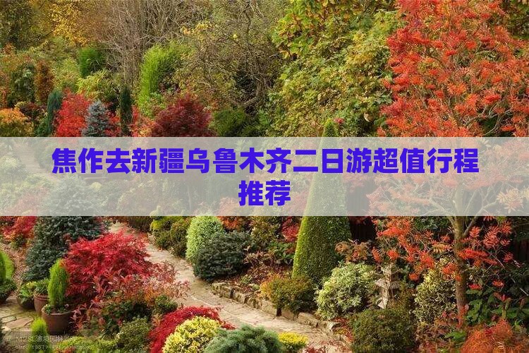 焦作去新疆乌鲁木齐二日游