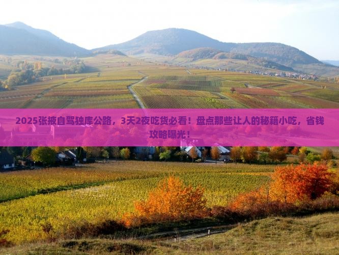 张掖到新疆独库公路旅游小吃