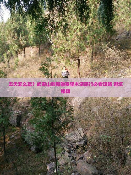 武夷山到新疆赛里木湖五日游