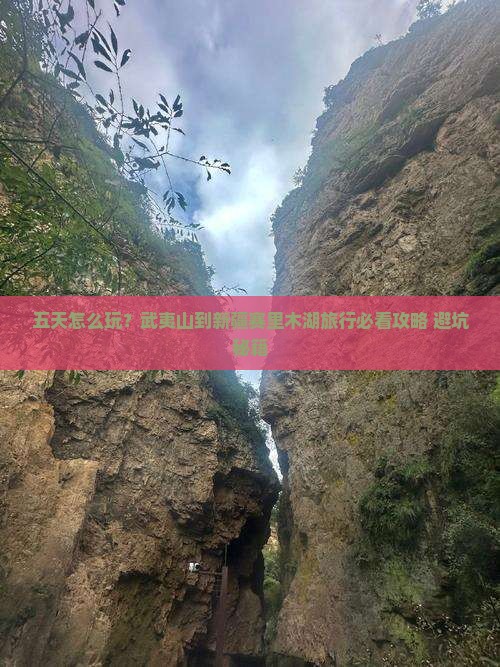 武夷山到新疆赛里木湖五日游
