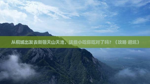 桐城到新疆天山天池旅游小吃