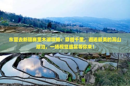 东营去新疆赛里木湖攻略