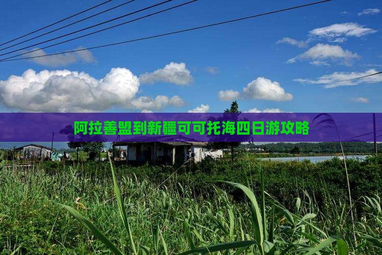 阿拉善盟到新疆可可托海四日游