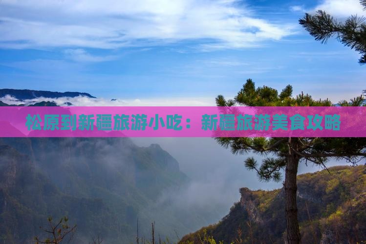 松原到新疆旅游小吃