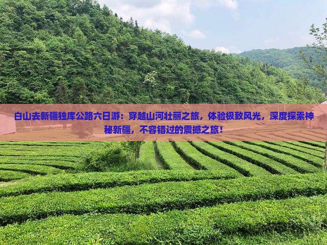 白山去新疆独库公路六日游
