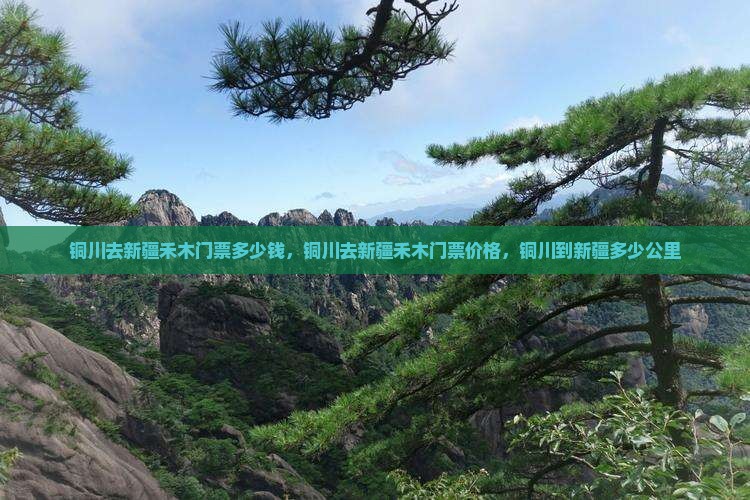 铜川去新疆禾木门票