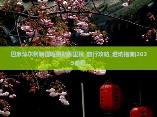 巴彦淖尔到新疆喀纳斯哪里玩