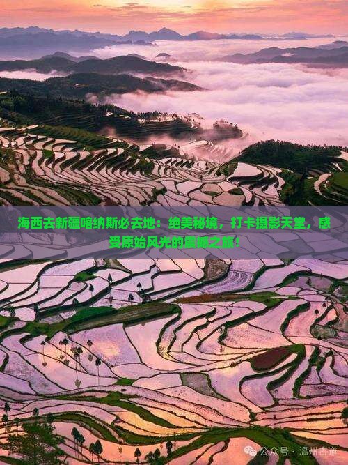 海西去新疆喀纳斯必去地