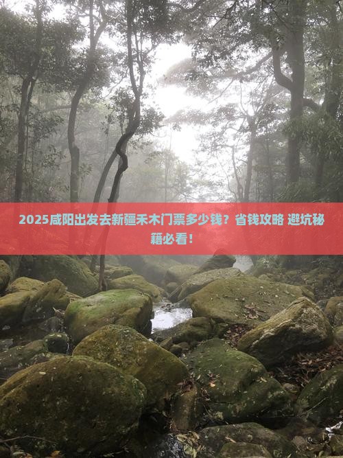 咸阳去新疆禾木门票