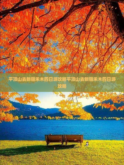 平顶山去新疆禾木四日游