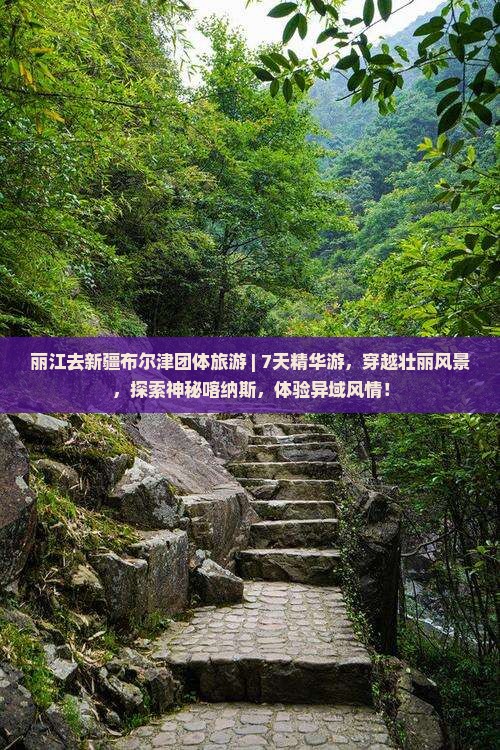 丽江去新疆布尔津团体旅游