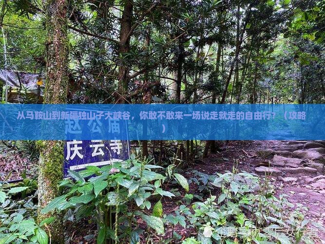 马鞍山到新疆独山子大峡谷自由行