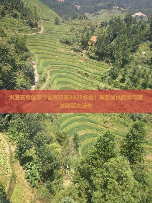 贵港去新疆旅行社