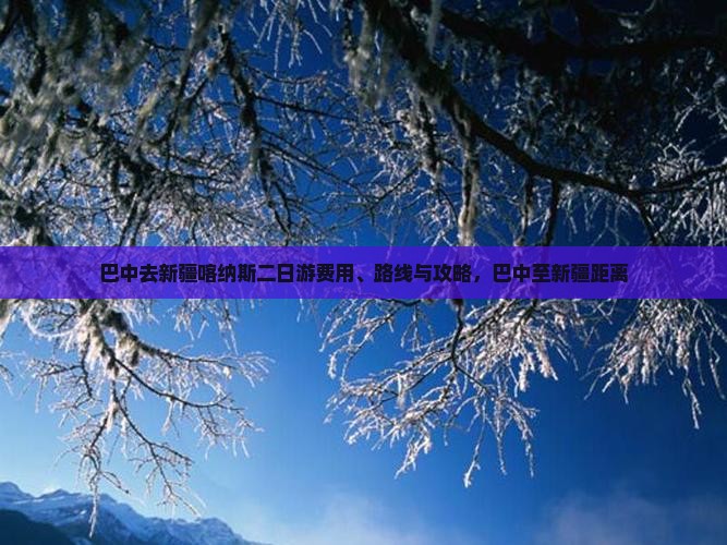 巴中去新疆喀纳斯二日游