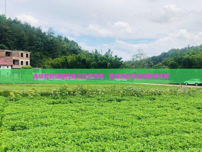 潍坊去新疆那拉提三日游
