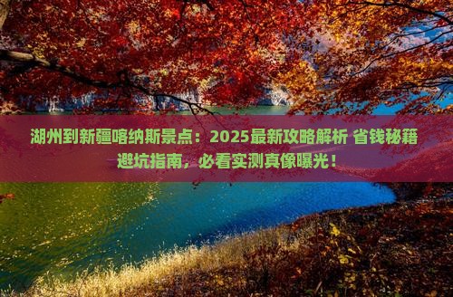湖州到新疆喀纳斯景点