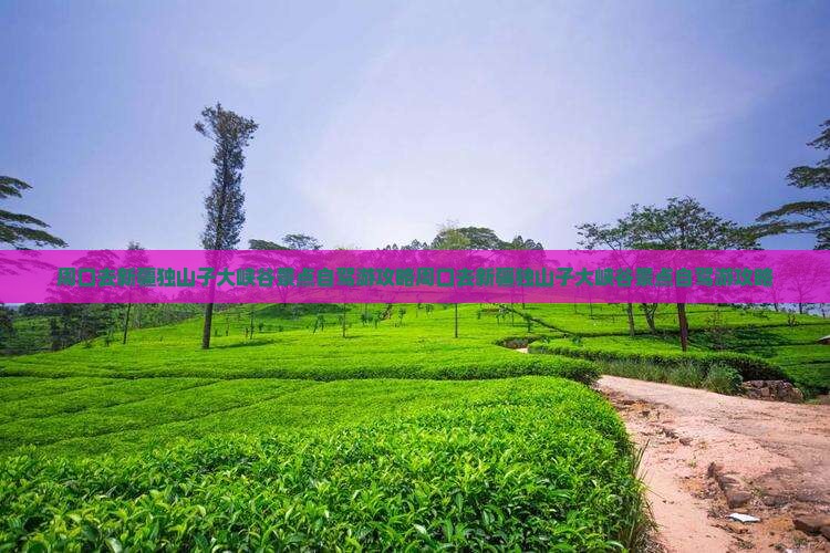 周口去新疆独山子大峡谷景点