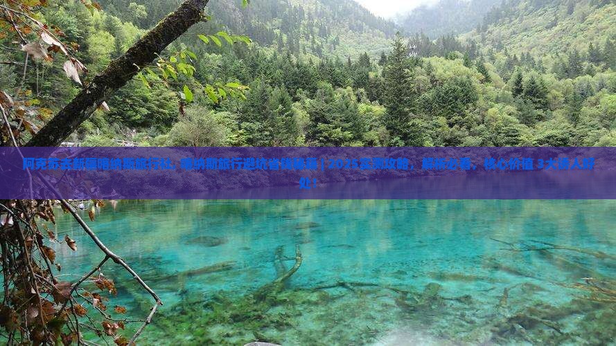 阿克苏去新疆喀纳斯旅行社