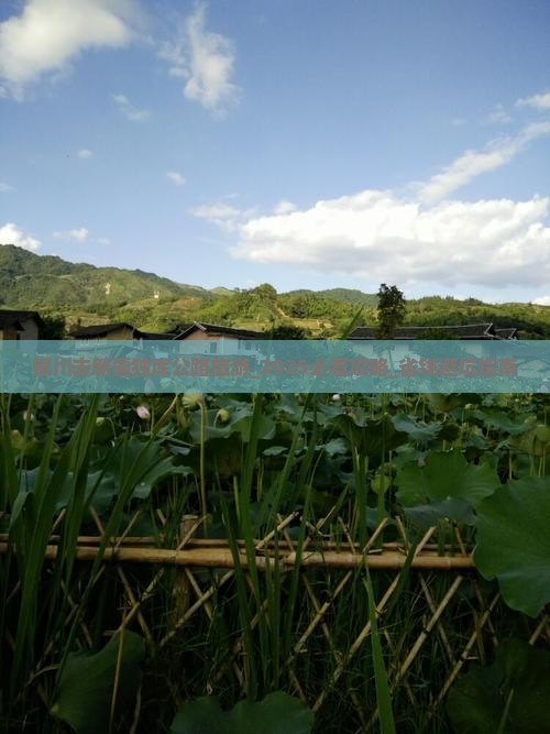 银川去新疆独库公路旅游