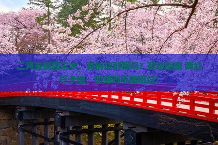 二月到新疆禾木必去地