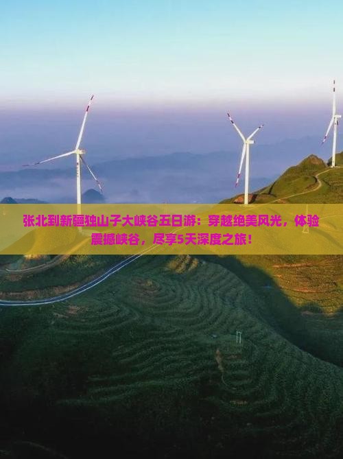 张北到新疆独山子大峡谷五日游