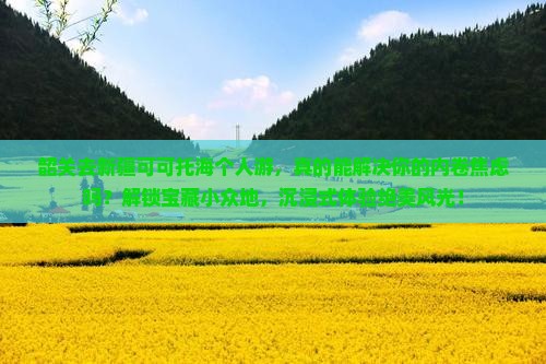 韶关去新疆可可托海个人游