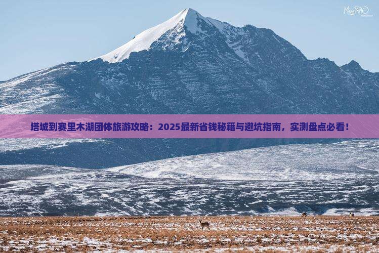 塔城到新疆赛里木湖团体旅游