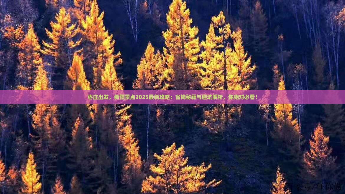 枣庄到新疆景点