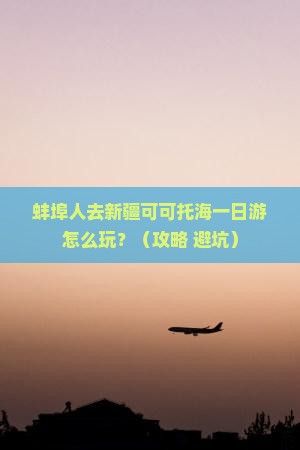 蚌埠去新疆可可托海一日