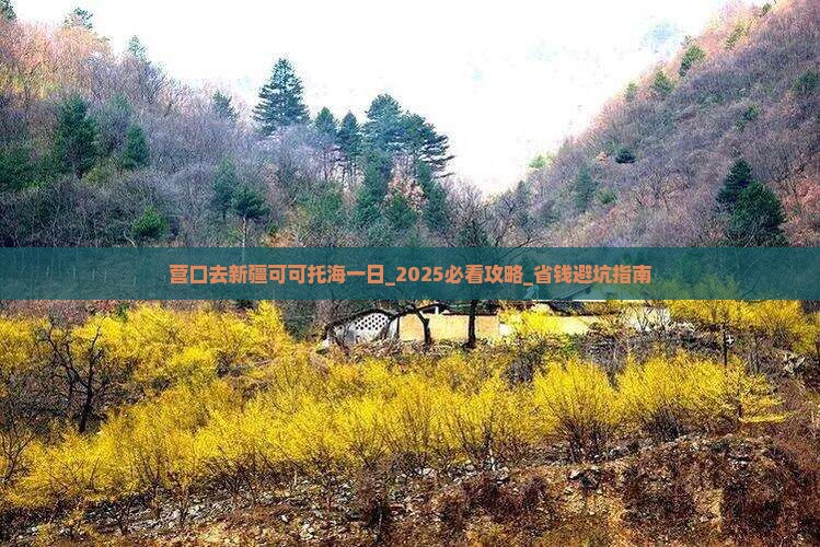 营口去新疆可可托海一日