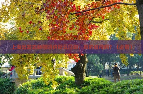 上海到新疆喀纳斯五日游
