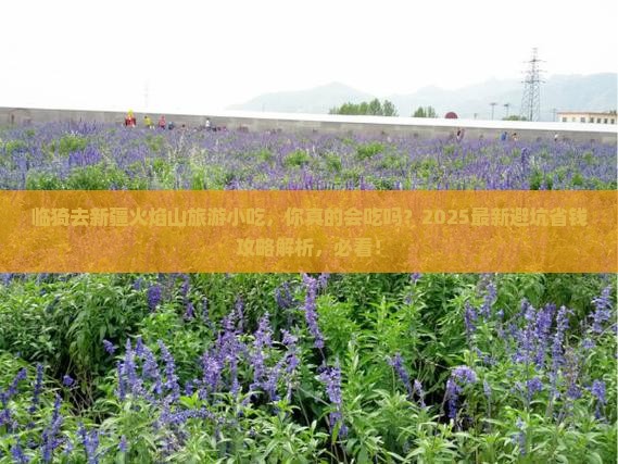 临猗去新疆火焰山旅游小吃