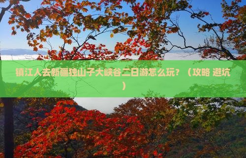 镇江去新疆独山子大峡谷二日游