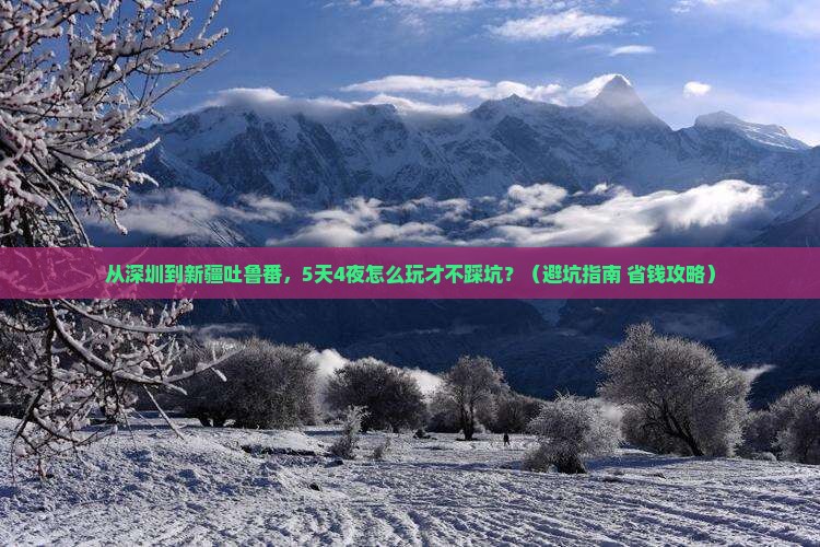 深圳到新疆吐鲁番门票