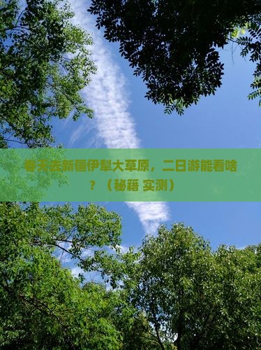 春天到新疆伊犁大草原二日游