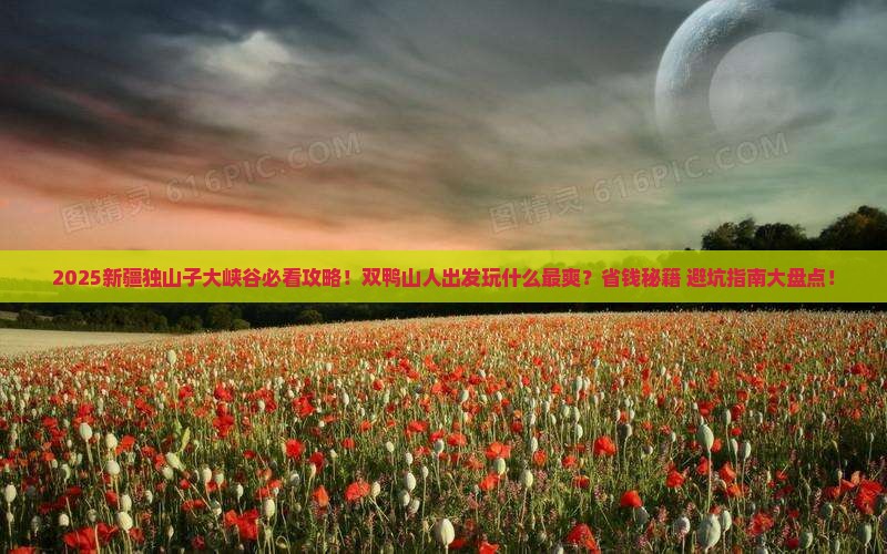 双鸭山去新疆独山子大峡谷哪里玩