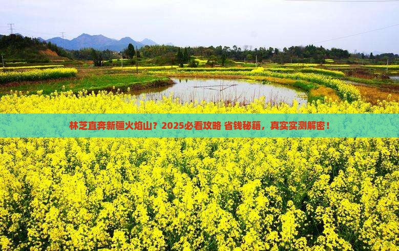 林芝去新疆火焰山门票