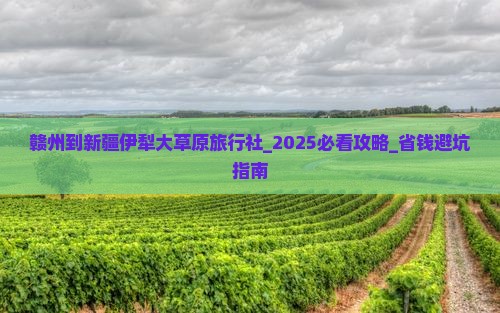 赣州到新疆伊犁大草原旅行社