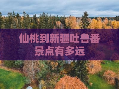 仙桃到新疆吐鲁番景点