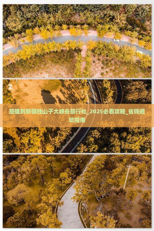 楚雄到新疆独山子大峡谷旅行社