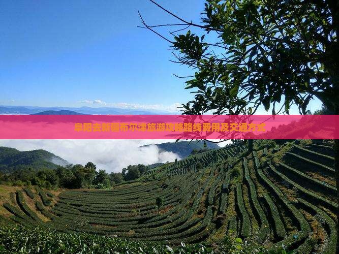 阜阳去新疆布尔津旅游