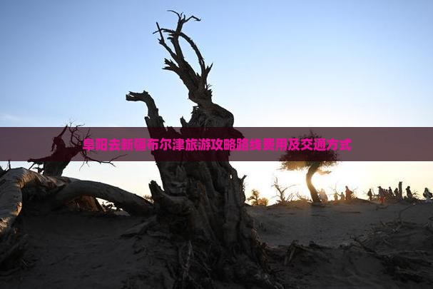 阜阳去新疆布尔津旅游