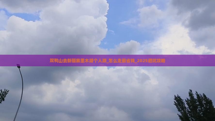 双鸭山去新疆赛里木湖个人游