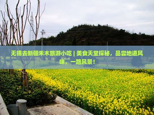 无锡去新疆禾木旅游小吃