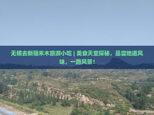 无锡去新疆禾木旅游小吃